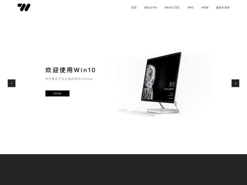 专注于Win10